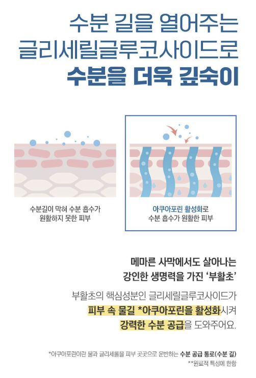  올리브영 선크림 추천(+무기자차 유기자차 여드름피부)