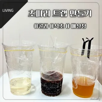 파리 퇴치 초파리 트랩 식초와 세제 과일 제거_3