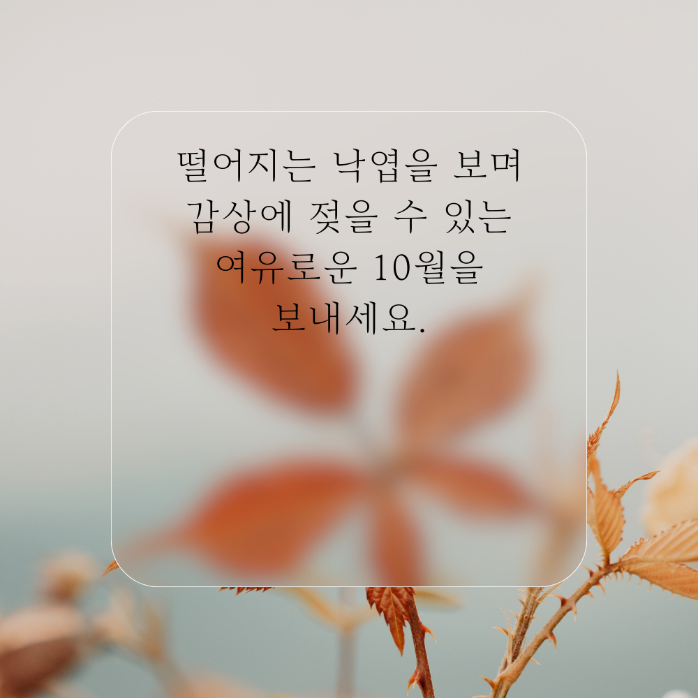 10월 가을 인사말 문구 이미지 모음 카톡 문자 안부 메세지