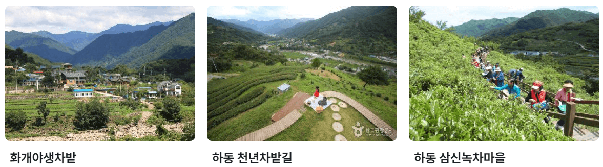 5월 경상도 여행 추천 가볼만한 곳, 축제 일정