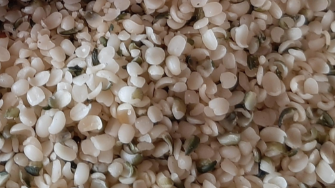 햄프씨드 오일 효능