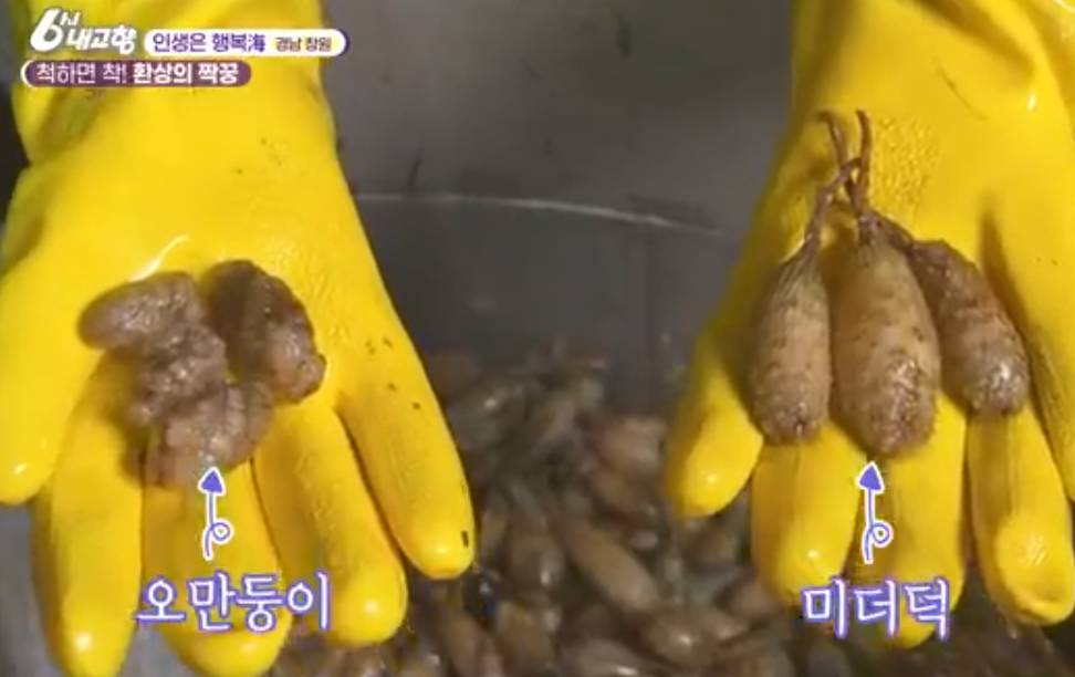 해동수산식품