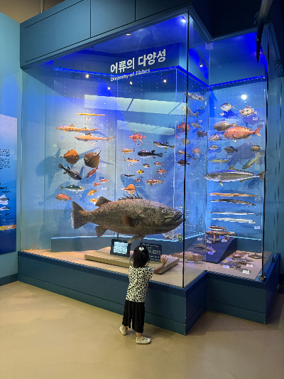 서울 아기랑 갈 곳 찾는다면, 서대문자연사박물관