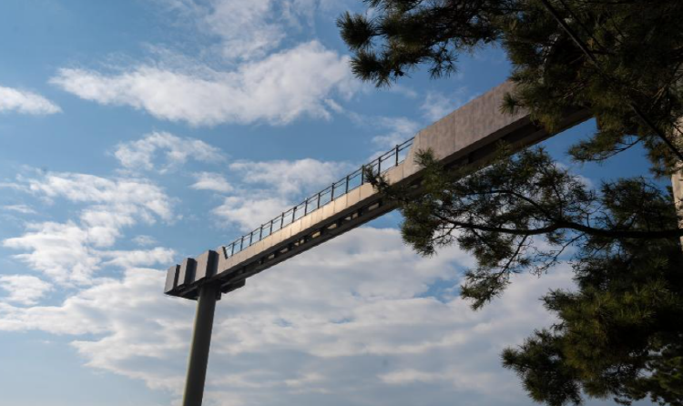 장항송림산림욕장 장항스카이워크