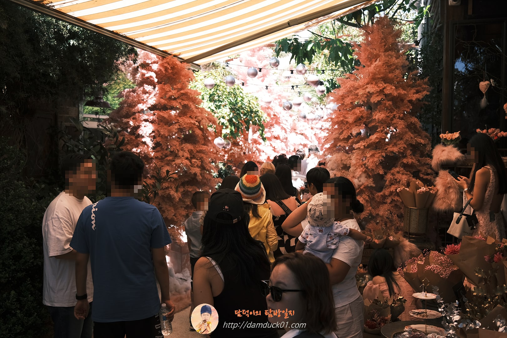 더 그라운즈 오브 알렉산드리아(The Grounds of Alexandria)