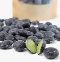 서리태 파종시기