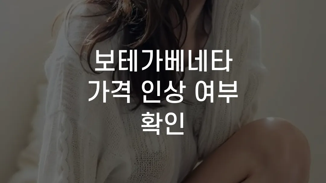 보테가베네타 가격 인상 여부 확인