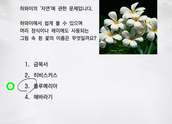 하와이 2급 1 이미지