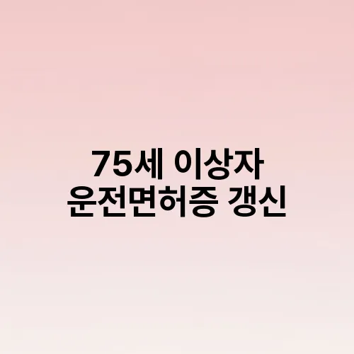 75세 이상자 운전면허증 갱신