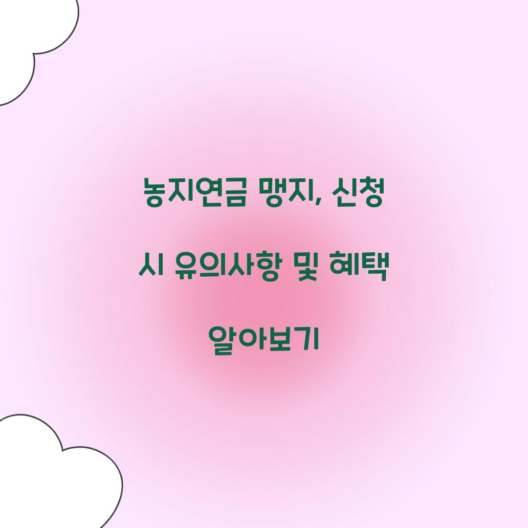 농지연금 맹지