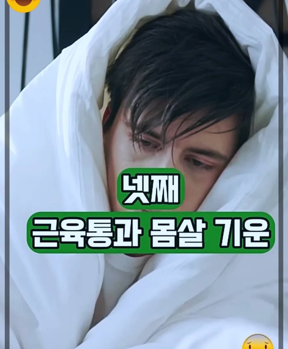 근육통 오한, 몸살 기운