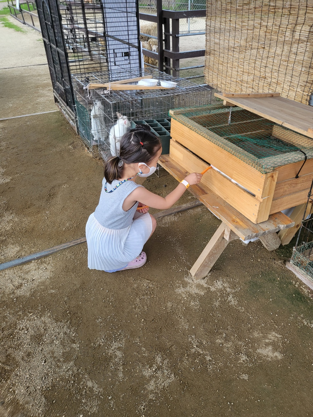 더플레이그라운드