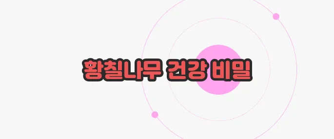 황칠나무 효능 무슨 내용인지 살펴보죠