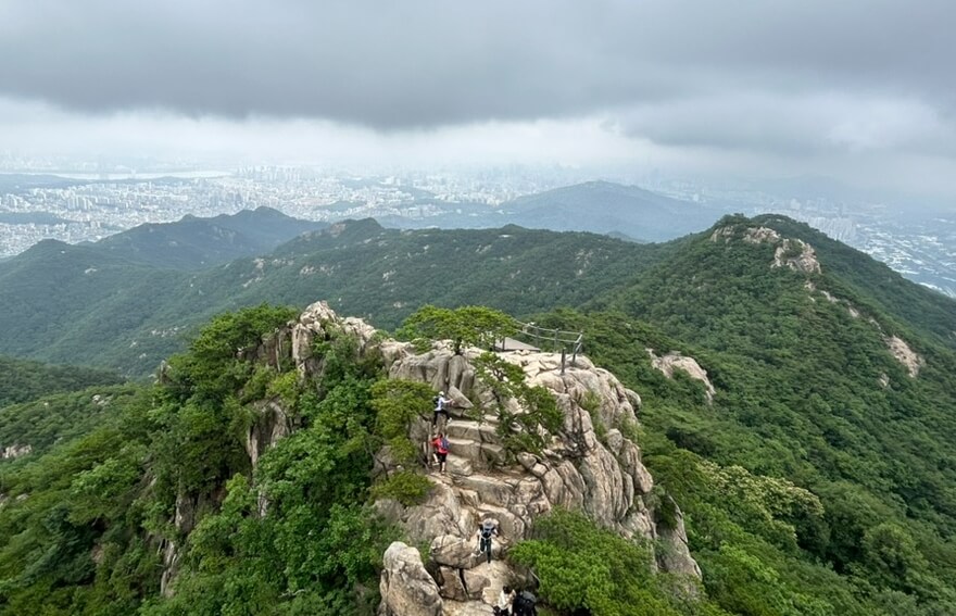 높은 산