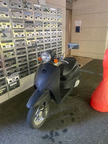 50cc스쿠터 보험