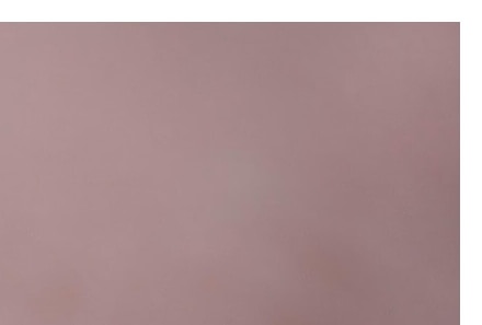 모기기피제