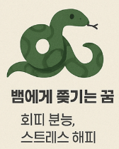 뱀에게 쫒기는 꿈해몽