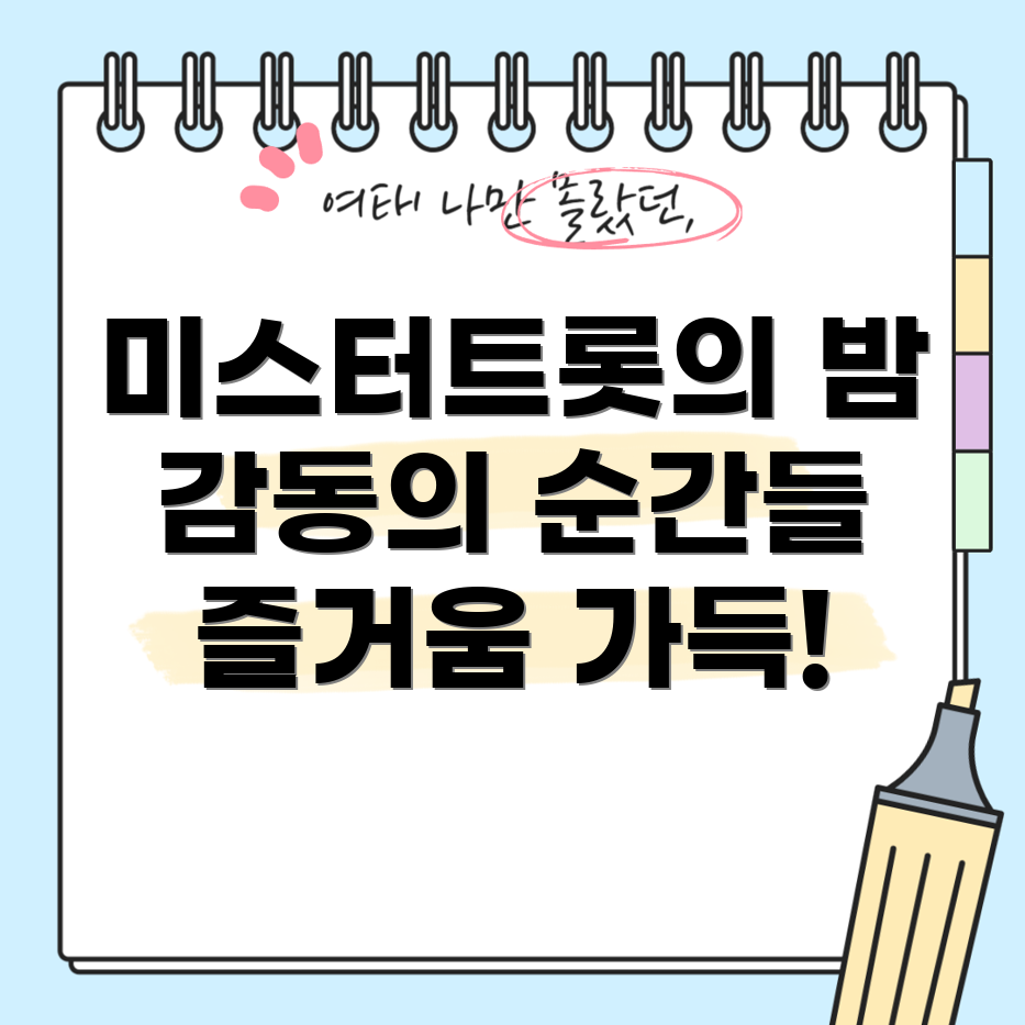 미스터트롯 콘서트