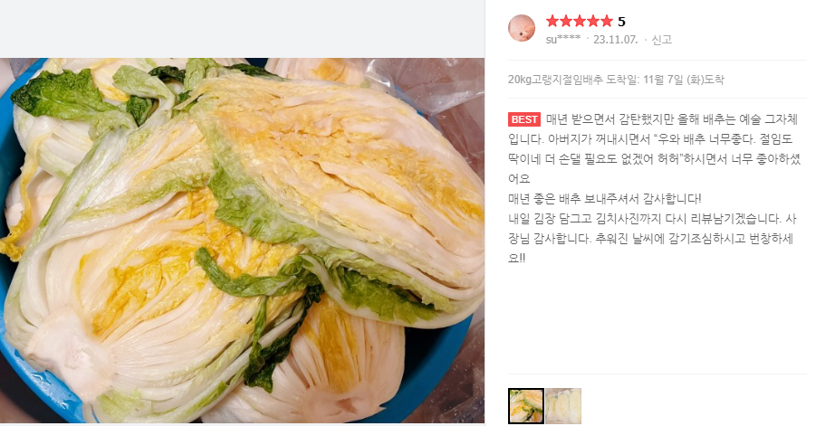 강원도-고랭지-절임배추-댓글-이미지