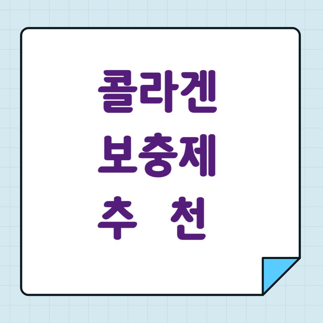 콜라겐 보충제 추천
