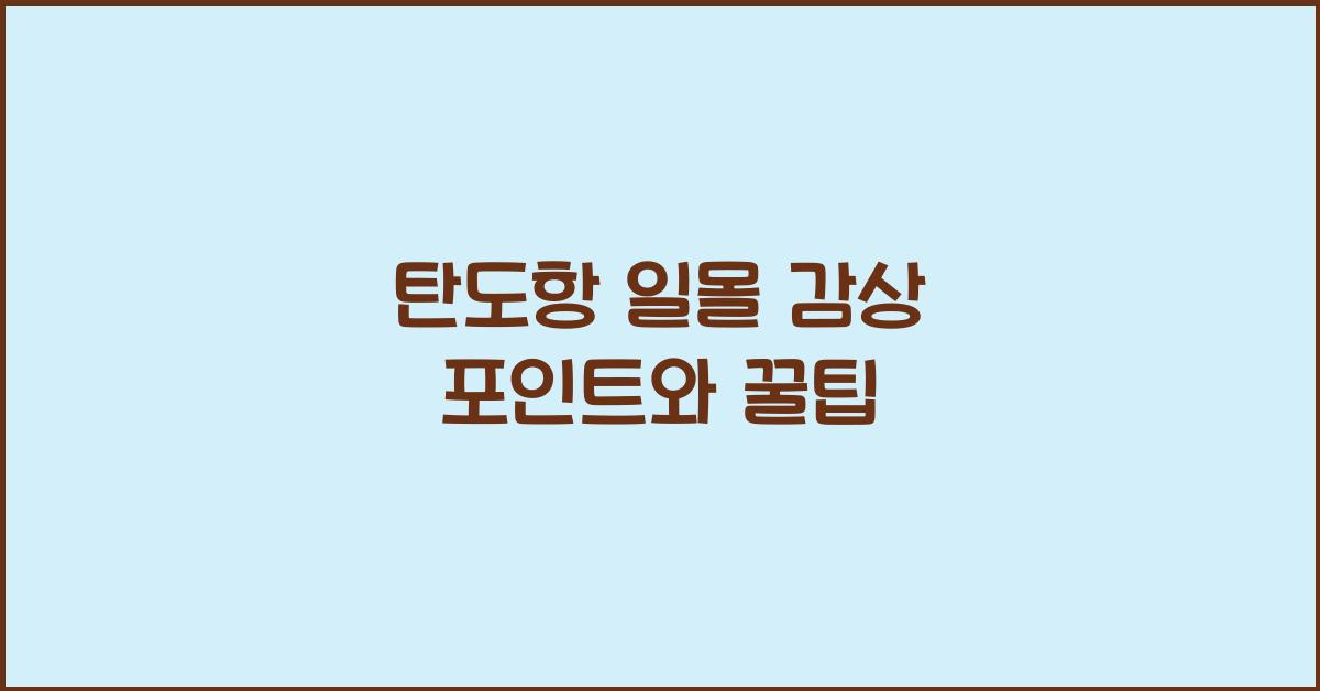 탄도항 일몰