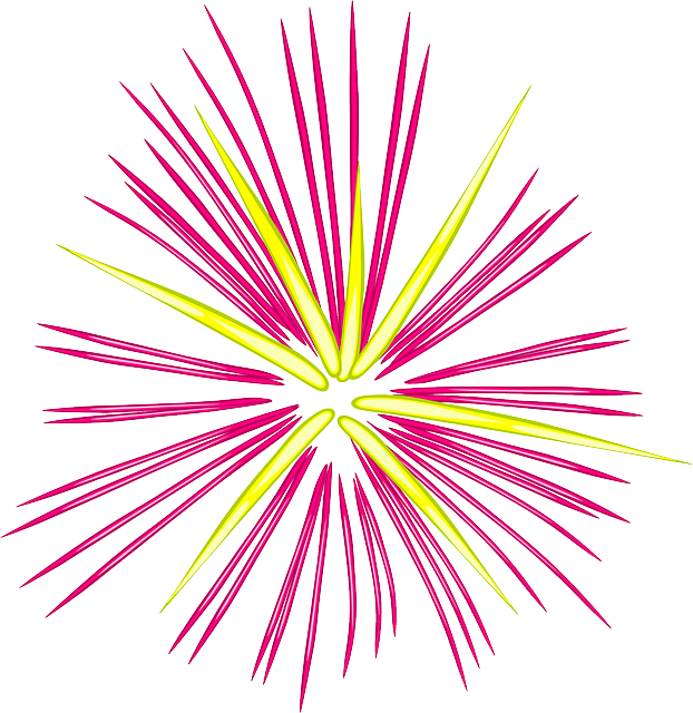 여의도 불꽃축제 골든티켓 유료티켓 명당