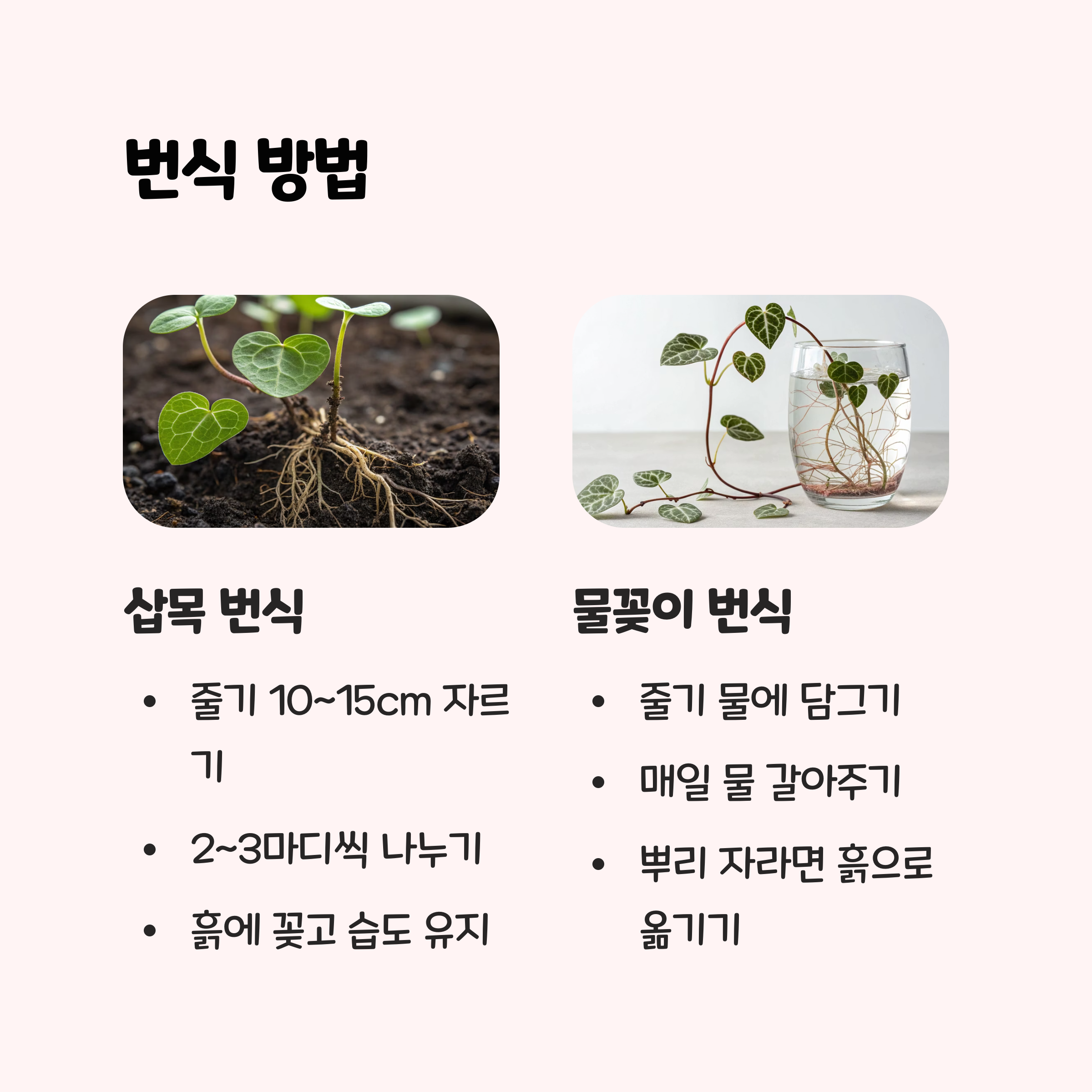 러브체인
