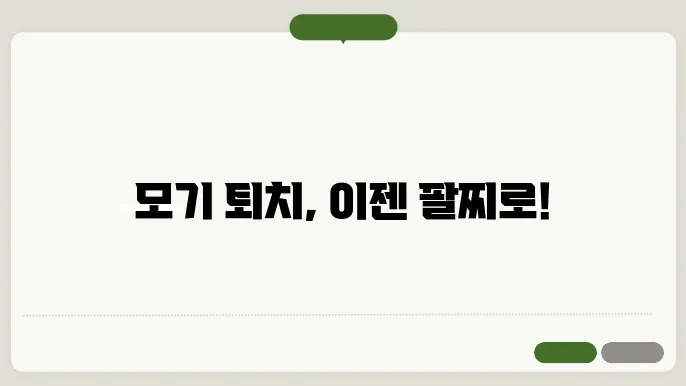 다이소 모기팔찌