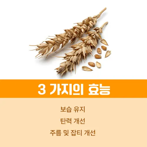 세라마이드 효능