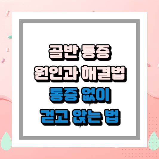 골반 통증 원인과 해결법 – 통증 없이 걷고 앉는 법