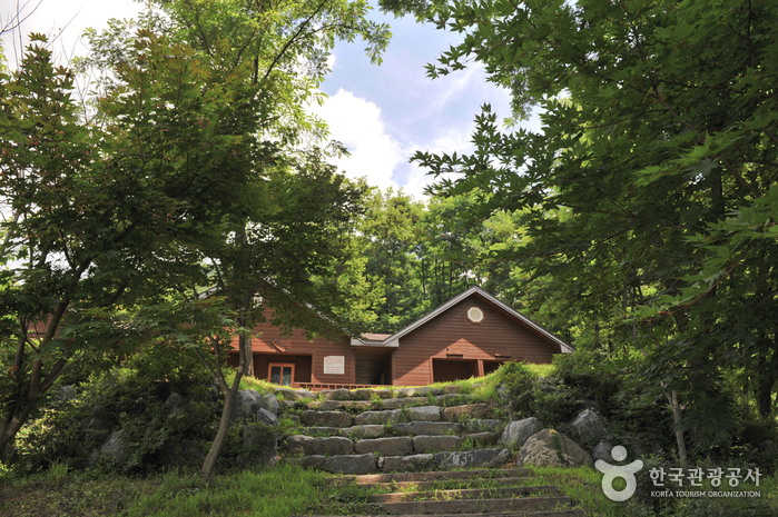 용문산 자연휴양림