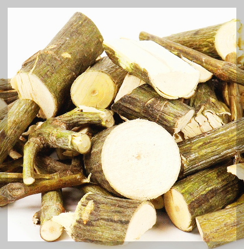 벌나무 효능&amp;#44; 부작용&amp;#44; 끓이는 법 3분 총정리