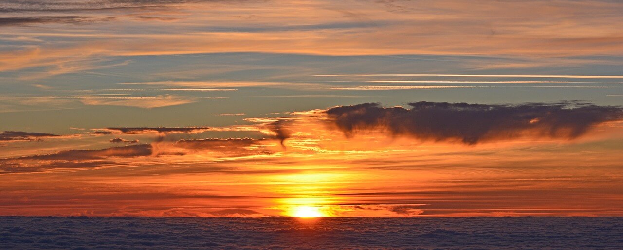 기초생활수급자