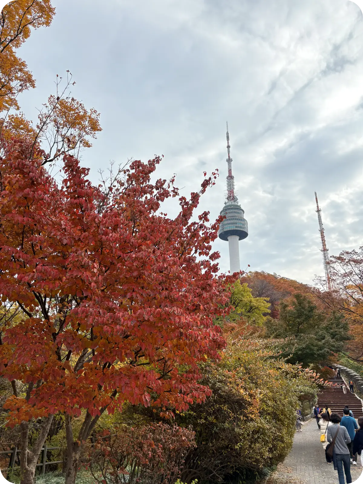 등반 중간 즈음에서 바라본 서울타워