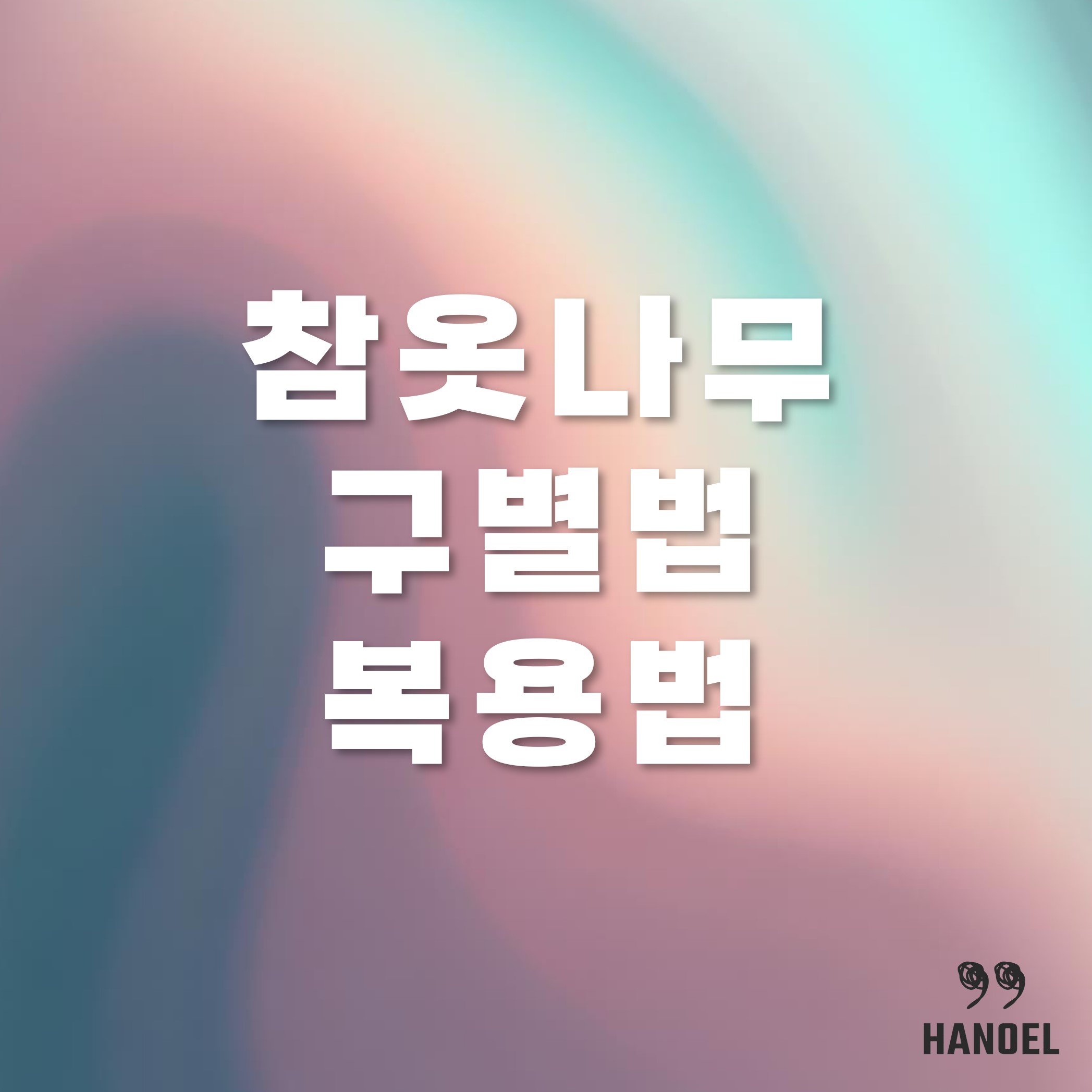 참옷나무 구별법 복용법