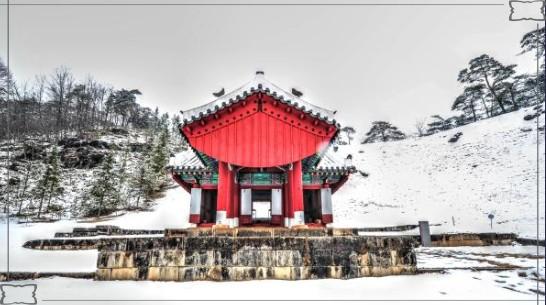 영화 &amp;#39;왕과 사는 남자&amp;#39; 촬영지 영월 여행: 청령포에서 장릉까지 핵심 코스