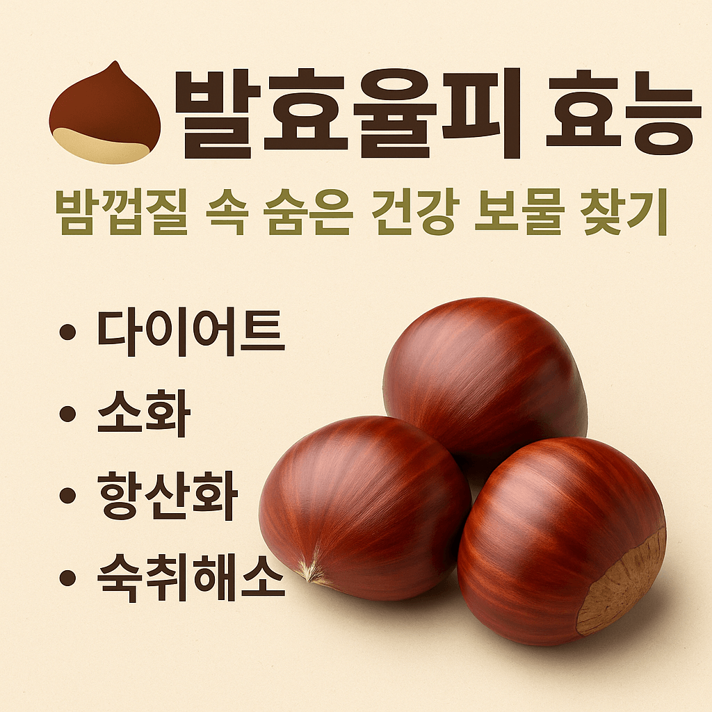 발효율피 효능, 밤껍질 속 숨은 건강 보물 찾기