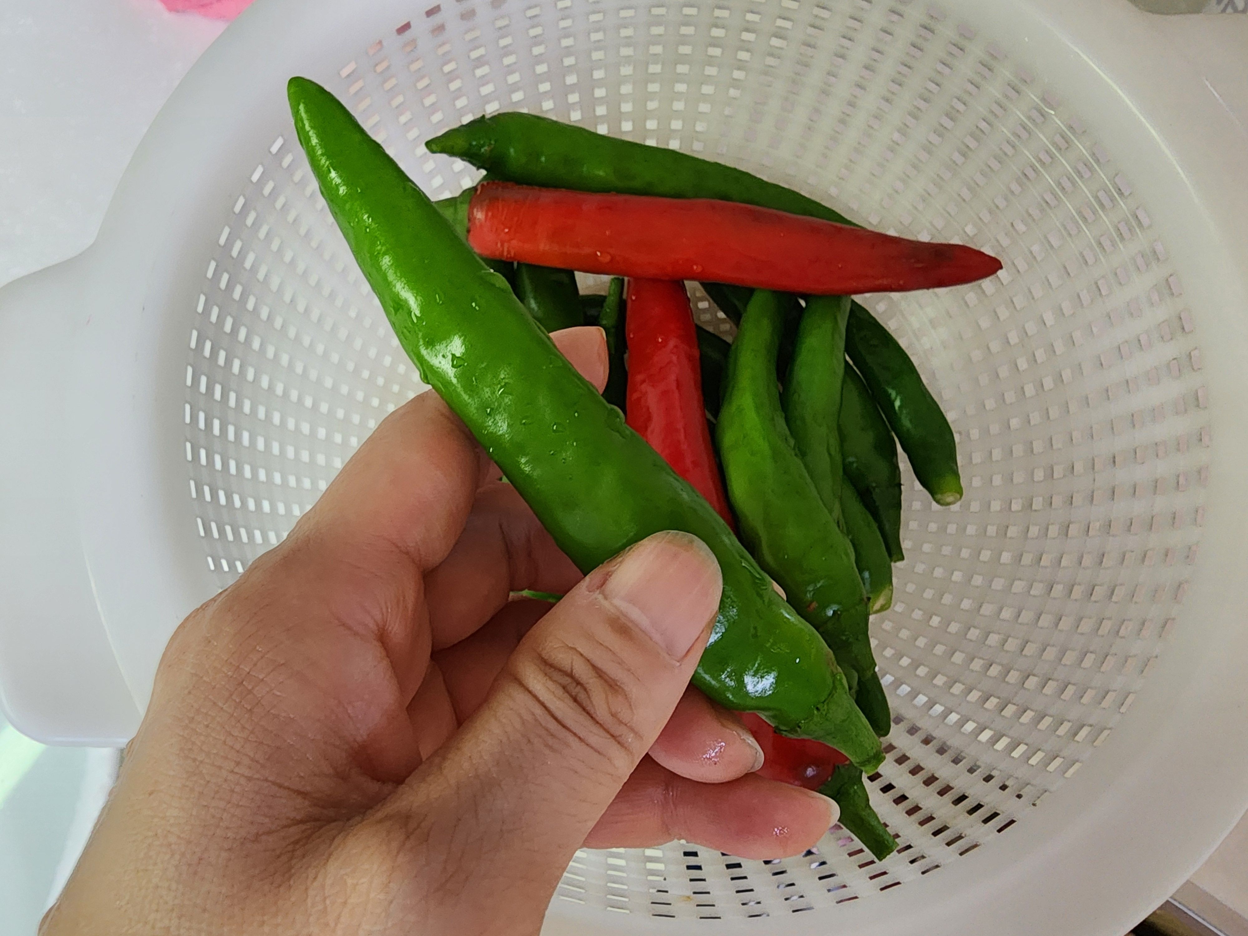 고추장아찌 만드는법&amp;#44; 아삭하고 알싸한 고추장아찌 비법
