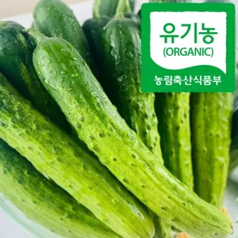 nv_오이 효능_7