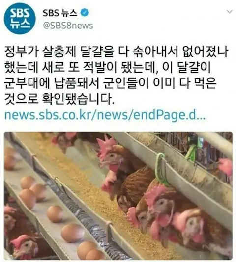정부에서 식자재 파동시 짬처리하는 방법