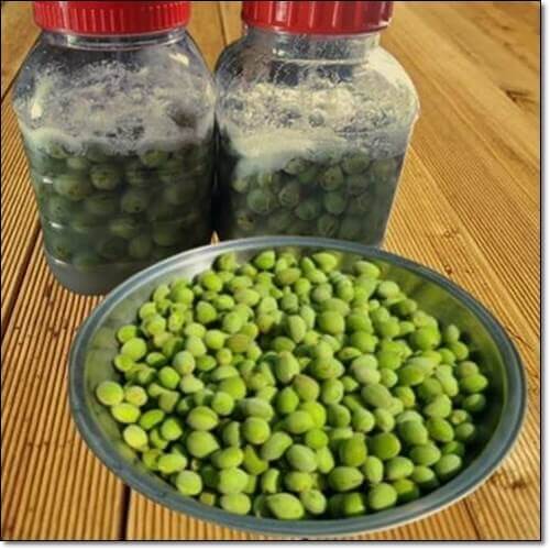 개복숭아 효소 효능 및 활성 성분, 먹는 법과 주의점