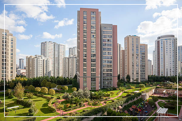 청년월세지원 사업