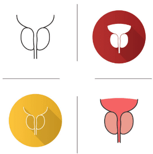 전립선비대증 치료방법 수술비용