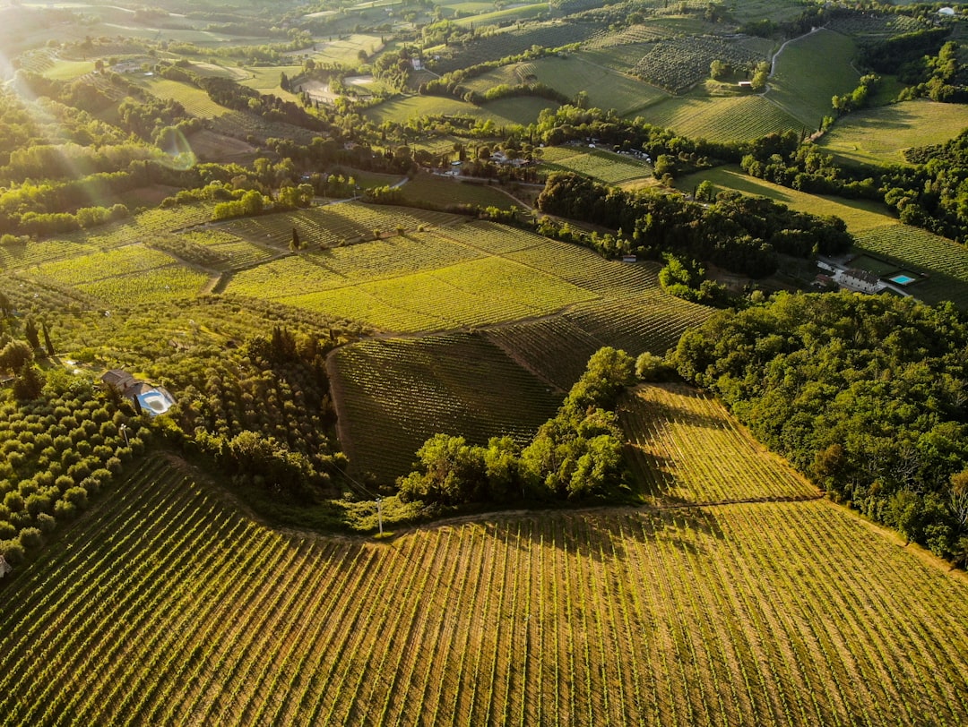 Agricultural land