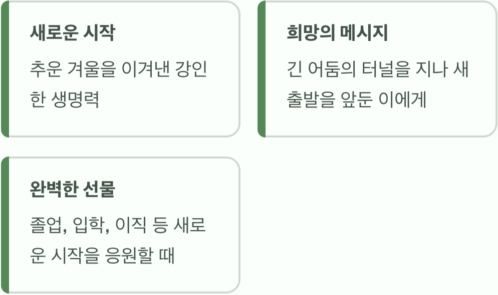겨울의 끝, 새로운 시작의 약속