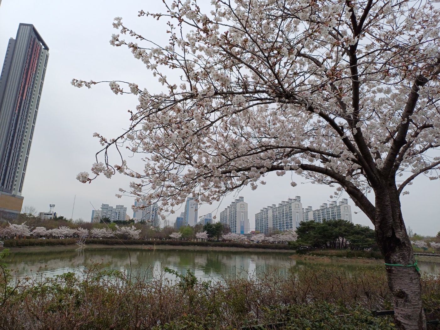 쌍암공원