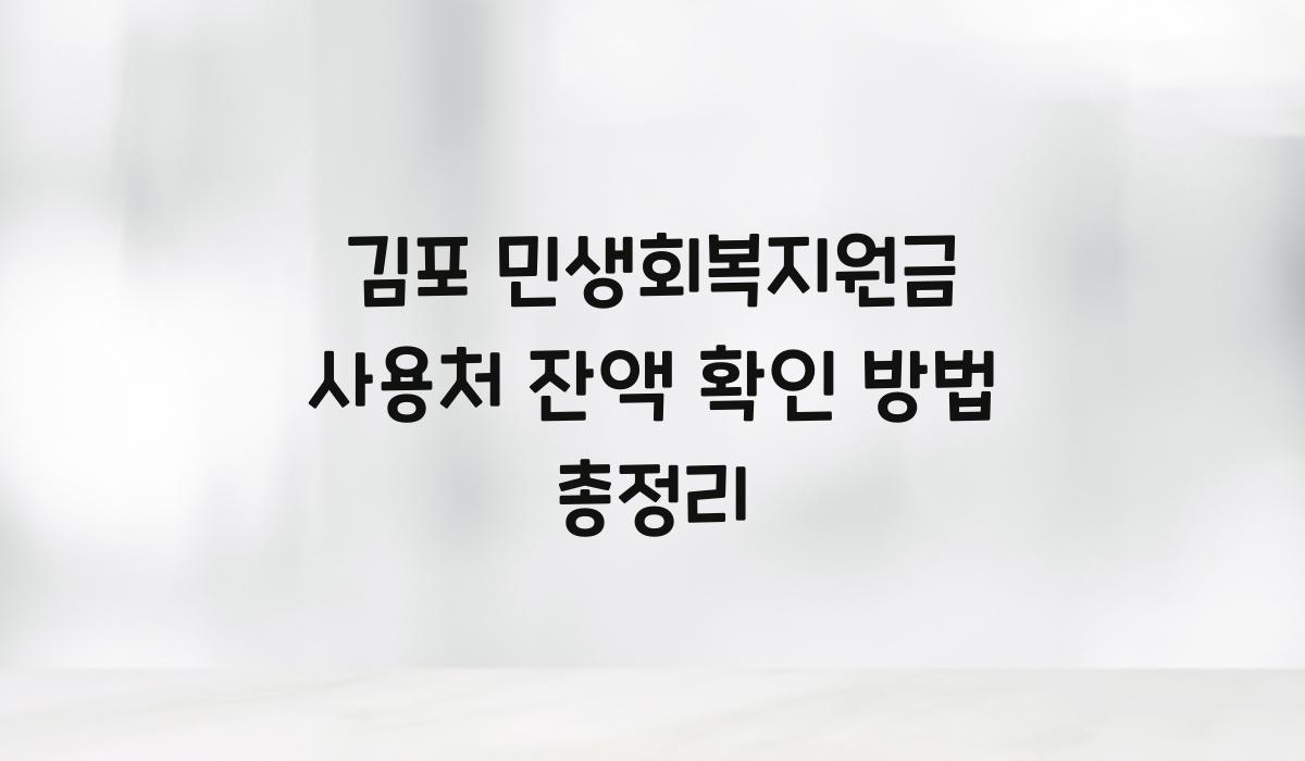 김포 민생회복지원금 사용처 잔액 확인 방법 총정리
