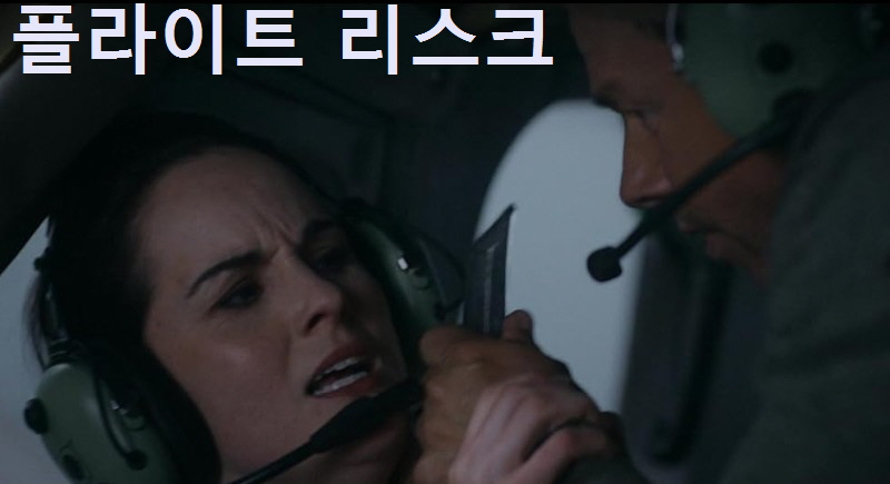 플라이트 리스크 줄거리 결말 후기 리뷰(호평과 혹평) 액션 스릴러 영화다시보기추천