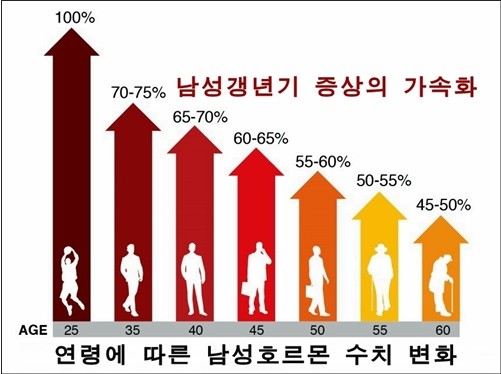 연령에 따른 남성호르몬 감소 추이