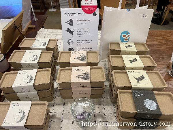 커피 원두 사진